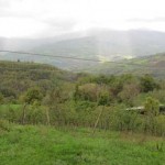 querzola