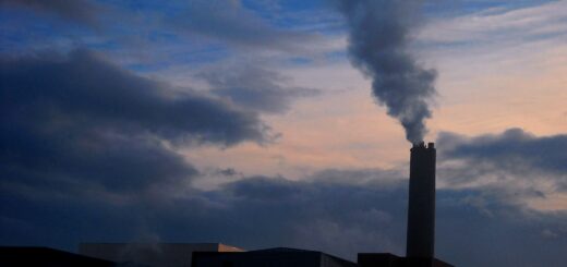 Inceneritore di Parma