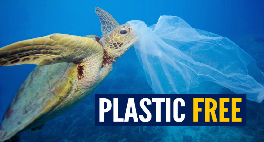 Plastic free